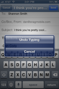 iOS Undo Typing